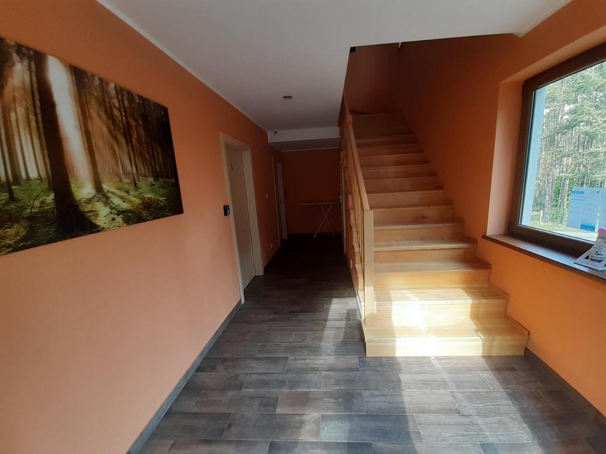 Apartment Lesna